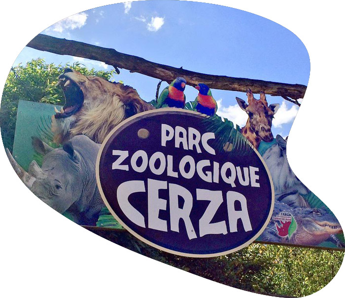 cerza